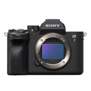 Sony E FE (Full-Frame)